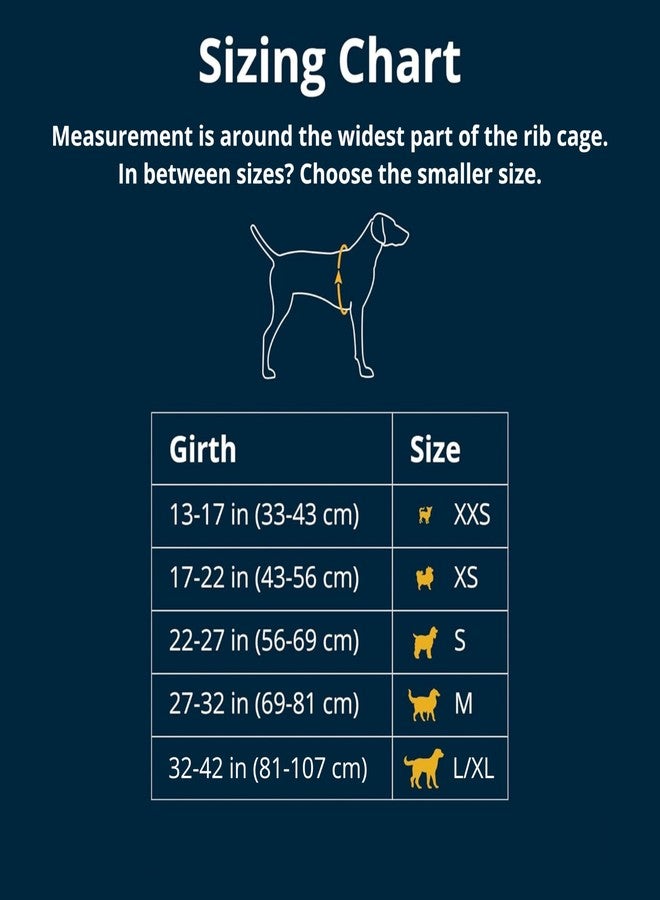 Ruffwear, Web Master, Multi-Use Support Dog Harness, Hiking and Trail Running, Service and Working, Everyday Wear, River Rock Green, Medium - Image 2